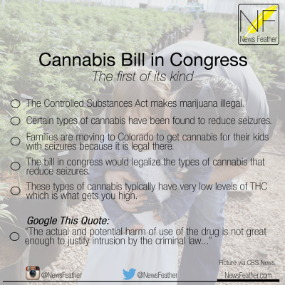 cannabis bill in congress