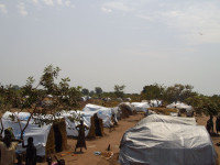 News and pictures of the violence in the Central African Republic between Muslims and Christians.